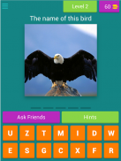 Guess the animal Quiz screenshot 9