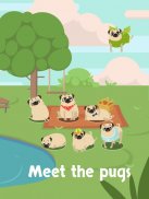 Merge Pugs Evolution screenshot 3