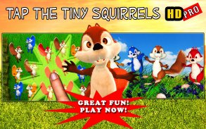 Tap the Squirrel HD Pro screenshot 0