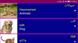 Learn Arabic From English screenshot 0