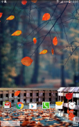 Autumn Wallpaper screenshot 5