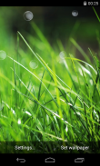 Grass Live Wallpaper screenshot 4