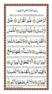 Surah Rahman - Qari Basit Audio - Surah Yaseen screenshot 0