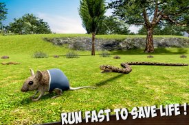 Mouse Simulator: Rat Life Sim screenshot 4