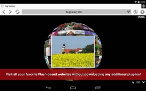 Photon Flash Player Navegador screenshot 0