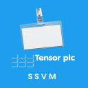 Tensor SSVM