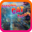 Rational Cat Escape - JRK Games