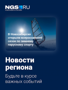 НГС — Новости Новосибирска screenshot 9