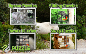 Free Albino Animal Puzzle Game screenshot 2