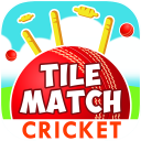 Cricket Tile Match Icon