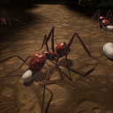 MY ANT COLONY Icon