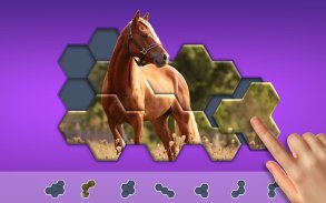Hexágonos Hexa Jigsaw Puzzle™ screenshot 10