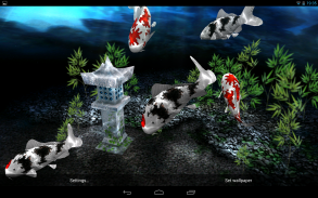 My 3D Fish II screenshot 1