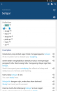 Indonesian English Dictionary screenshot 8