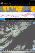 Flowx: Weather Map Forecast screenshot 17