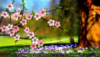 Spring Flowers 3D Parallax HD screenshot 9