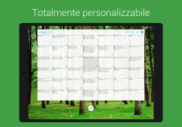 DigiCal Calendario screenshot 14