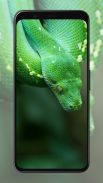 Snake Wallpapers screenshot 2