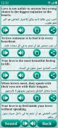 Learn Arabic Language screenshot 22