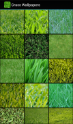 Grass Wallpapers screenshot 0