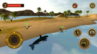 Orca Survival Simulator screenshot 4