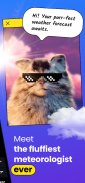 OpenPet - Weather & Cute Cat screenshot 1