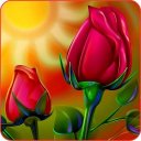 Rose Wallpaper Icon