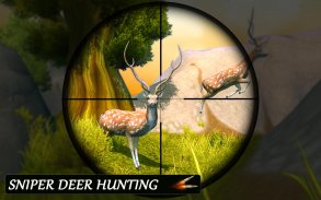 Wild Deer Hunting  2020 Game screenshot 0