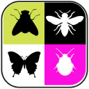 Insects Soundboard App