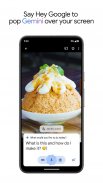 Google Gemini screenshot 7