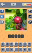 Guess Fruit Berry screenshot 3