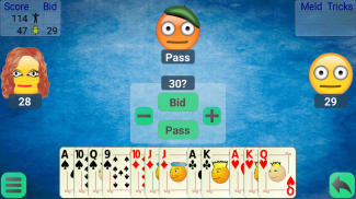 Pinochle screenshot 2