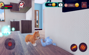 Pomeranian Dog Simulator screenshot 12