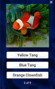 Fish Quiz screenshot 1