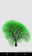 Trees 3D screenshot 13