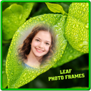 Leaf Photo Frames