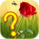 Guess the Flower Icon