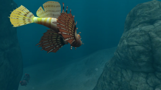 Underwater VR screenshot 3