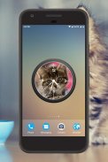 Kitten Clock Live Wallpaper screenshot 3