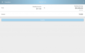 IDB Global FCU screenshot 3