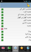 Urdu ترجمه screenshot 5