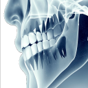 Oral Radiology- Principles and Interpretation Icon