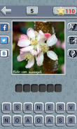 Guess the word by 4 pics screenshot 2