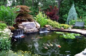 Fish Pond Ideas screenshot 7