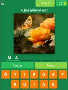 Adivina Adivinador screenshot 10