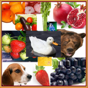 Flashcard for kids screenshot 5