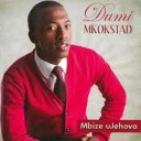 Dumi Mkokstad Songs