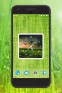 Grass Clock Live Wallpaper screenshot 0