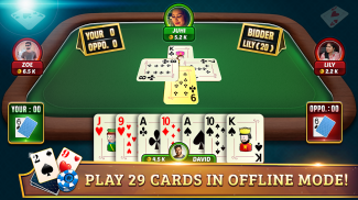 29 Card Game Plus screenshot 5