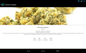 Weedmaps Find Marijuana Cannabis Weed Reviews CBD screenshot 4